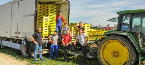 Le maraîcher Viktor Müller (à gauche) avec une partie de son équipe dynamique