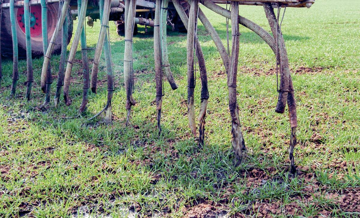 Dank dem Nitrifikationshemmer Landor Piadin können Düngerkosten gesenkt werden.