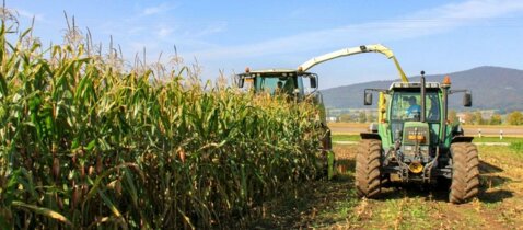 Silage
