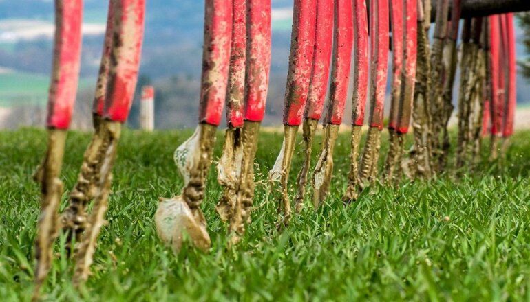 Les améliorateurs de lisier augmentent l’efficacité au champ