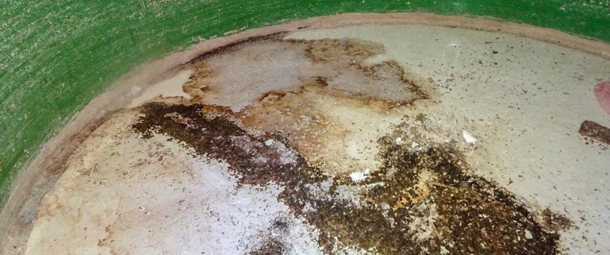 Il est impératif d’enlever les restes de fourrage et de nettoyer les parois du silo.