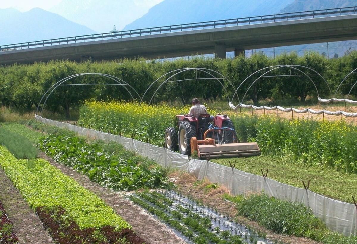 Datenbanken von Best4Soil