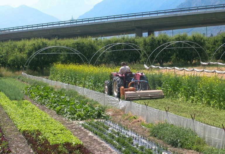 Datenbanken von Best4Soil