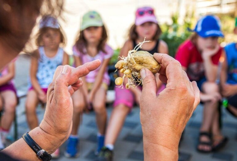 Judith Pfefferli montre aux enfants d’où viennent les frites