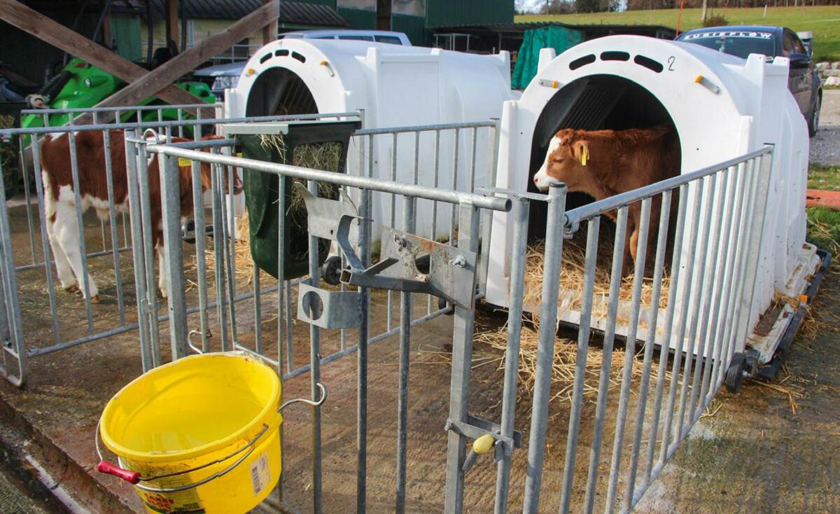 Wasser und Heu muss jederzeit zugänglich sein. Der befestigte Boden mit Abfluss in die Güllegrube entspricht den Gewässerschutzvorschriften.