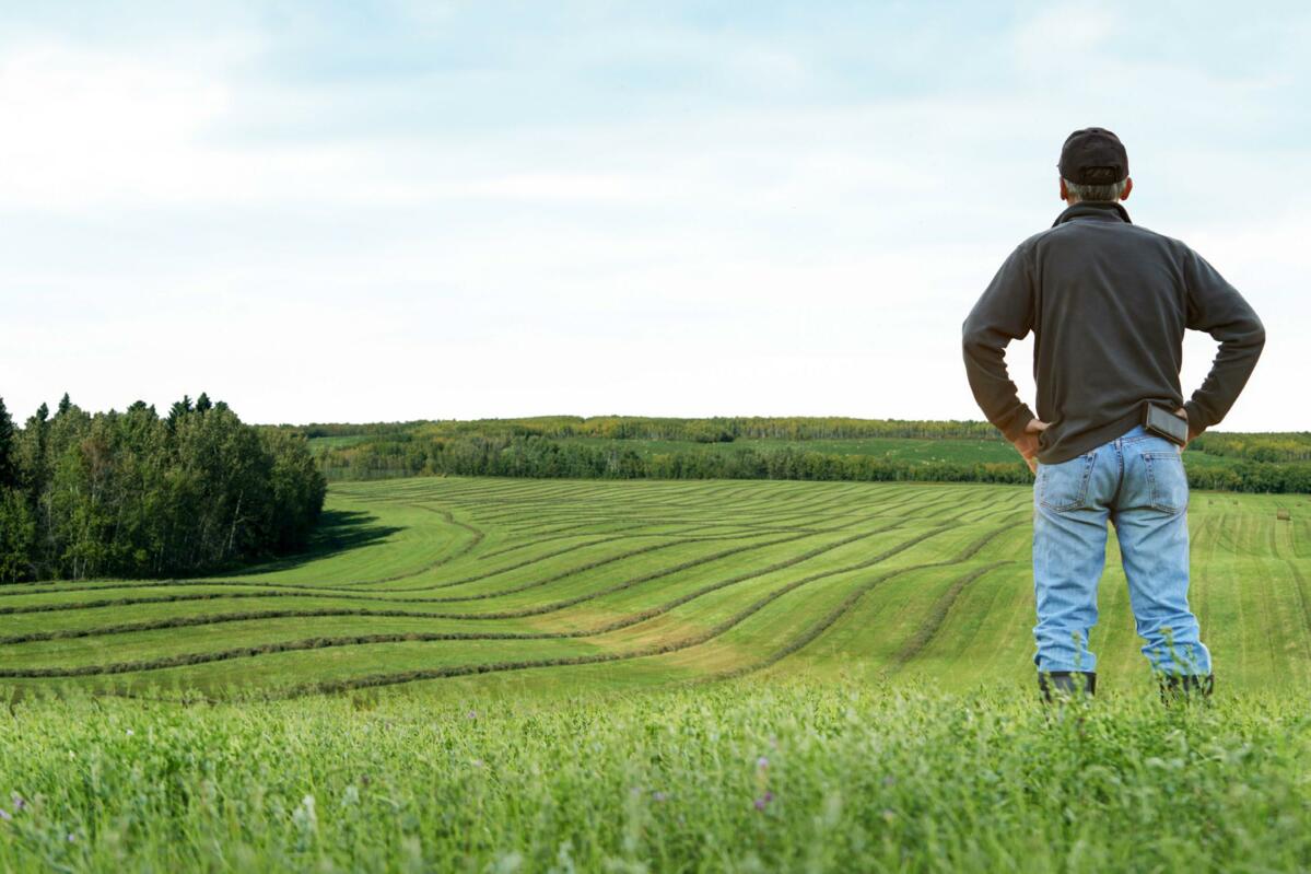 Les chef(fe)s d’exploitation qui réussissent ne s’intéressent pas uniquement à ce qui se passe au champ. Ils ou elles remettent en question ce qui se fa...