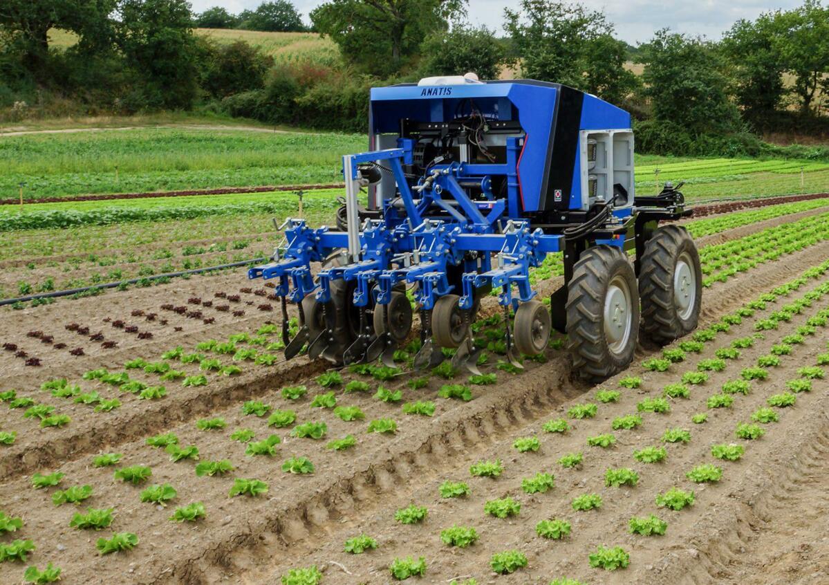 Der Hackroboter «Anatis-Co-Bot» des französischen Herstellers Carré manövriert dank Kamera und GPS-Daten zentimetergenau in der Kultur. Einmal programmi...