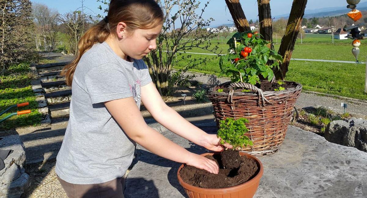 La plantation en pot laisse place à la créativité.