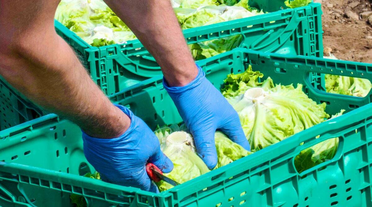 Gute Mitarbeiterinnen und Mitarbeiter sind gefragt. Durch überbetriebliche Einsätze können Arbeits kräfte auch bei ungenügender Auslastung im Betrieb ge...