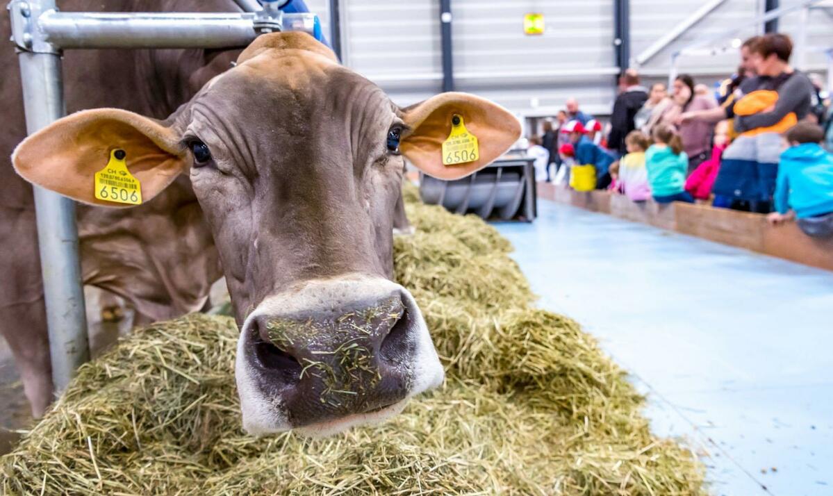 An der Suisse Tier werden innovative Konzepte und aktuelles Fachwissen zu einer ressourcen- und klimafreundlichen Landwirtschaft vermittelt.