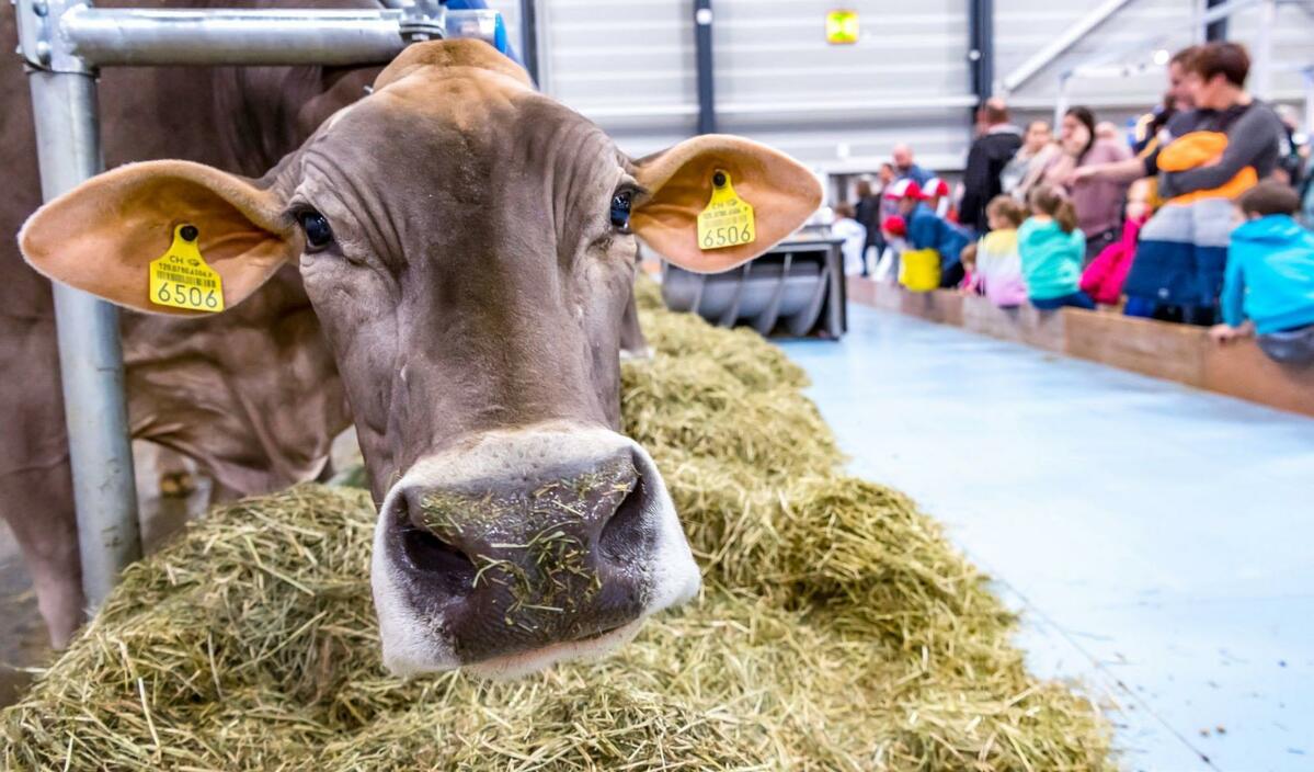 Suisse Tier présentera des concepts innovants et des connaissances techniques dans l’optique d’une agriculture ménageant les ressources et le climat.