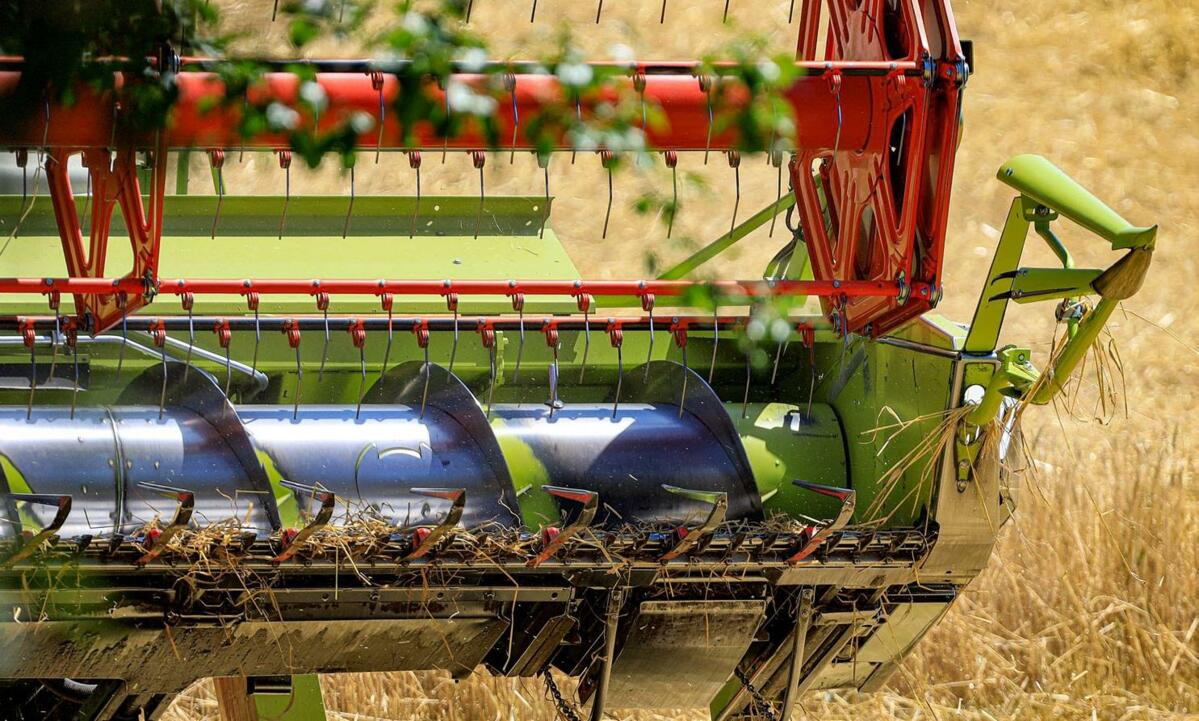 Mehr als die Hälfte der Schweizer Ackerbaubetriebe decken ihre Produktionskosten vollständig.