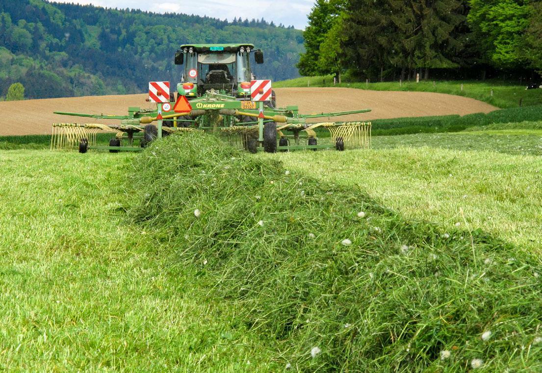 Der Artenreichtum und die Zusammensetzung der Wiese hängen auch von der Schnitthäufigkeit, -höhe und dem Schnitttermin ab.