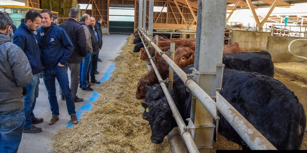 La nouvelle stabulation pour taureaux d’engraissement de la famille Probst, à Laupersdorf, où s’est déroulé le programme de l’après-midi de la journée U...