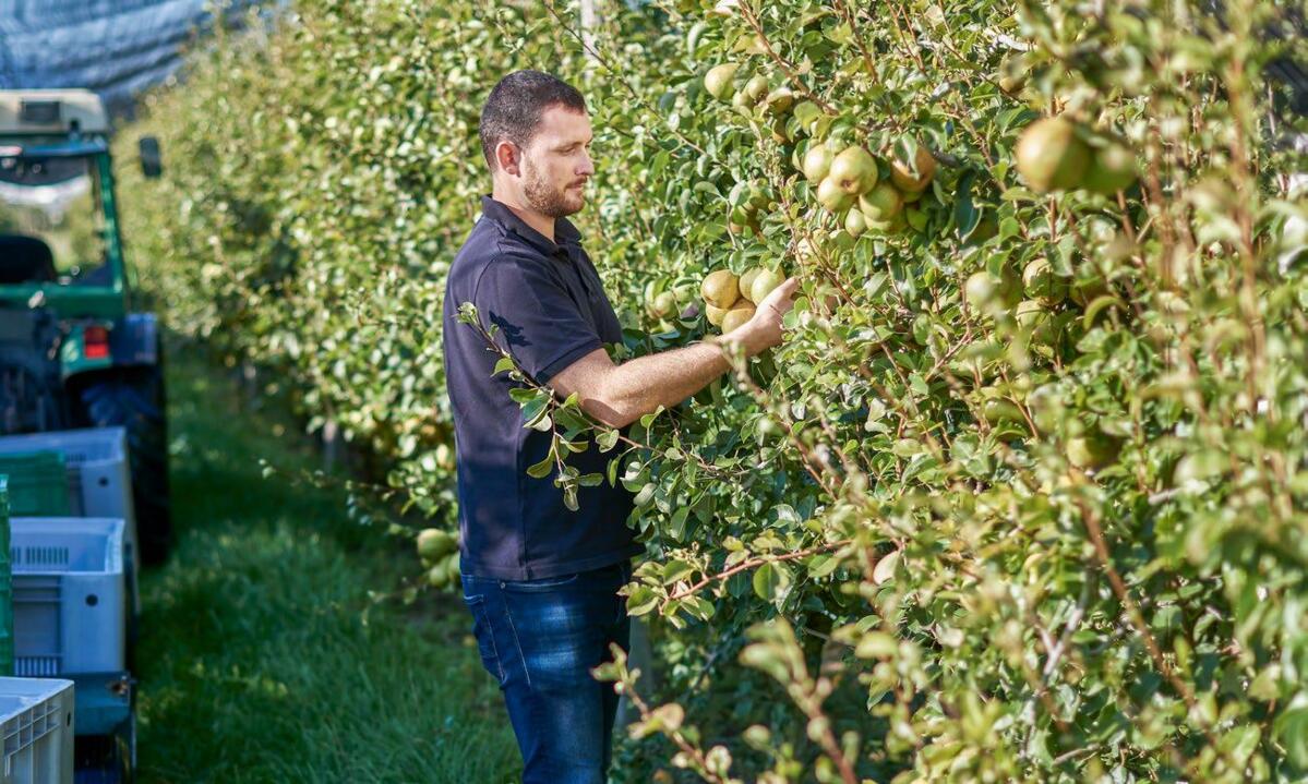 Philipp Hotz betreibt den Volg Erlebnishof im Zugerland mit Fokus auf Obst-, Beeren- und Weinanbau: «Nach einem Tag auf unserem Bauernhof nehmen die Gäs...
