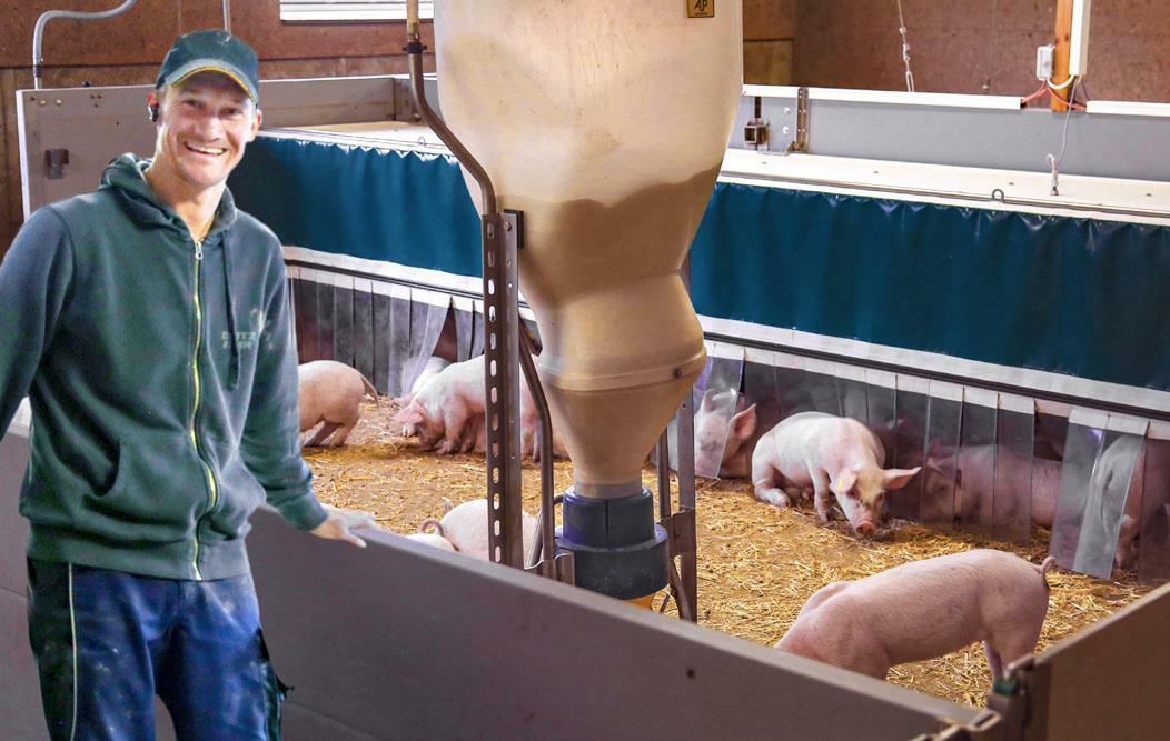 Behaglichkeit im Jagerstall: In Schweinezuchtbetrieben wirkt sich eine Investition ins Tierwohl unmittelbar auf die Leistung aus.