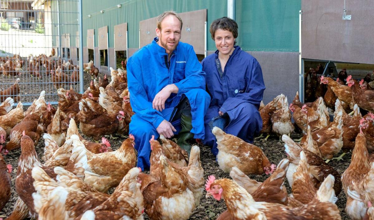 Photo à gauche : Irène et Beat Betschart dans l’aire à climat extérieur de leur poulailler pour pondeuses, qui sont âgées de 48 semaines.