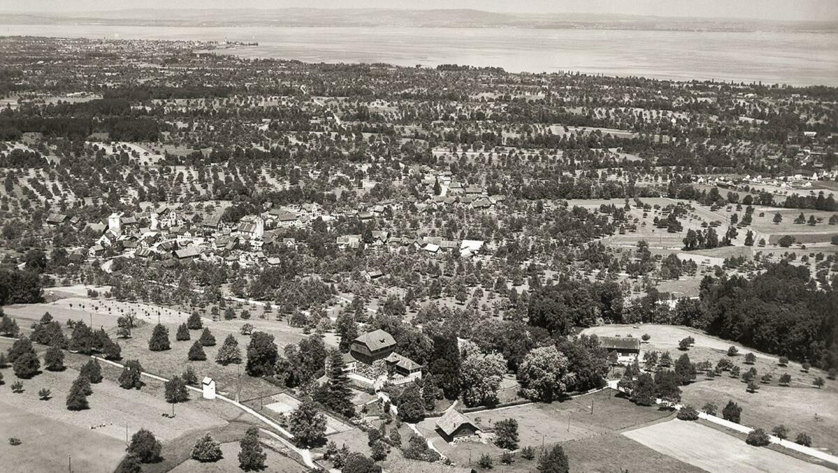 In den frühen 1950er-Jahren war die Region um das Schloss Roggwil (TG) durch Hochstammobstbäume geprägt.