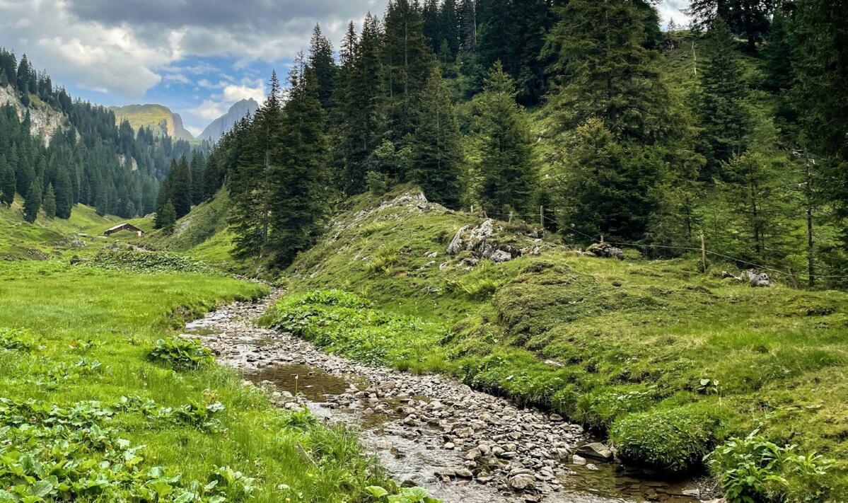 Seit sich die Hitzesommer häufen, versiegt der Bach zwischen der Alp Vorder Brust und der Alp Hinter Brust immer häufiger bereits im August. Eine neue Q...