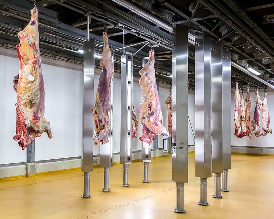 Le BCC- 3 est composé de huit tours en acier inox, comprenant chacune cinq caméras numériques. 