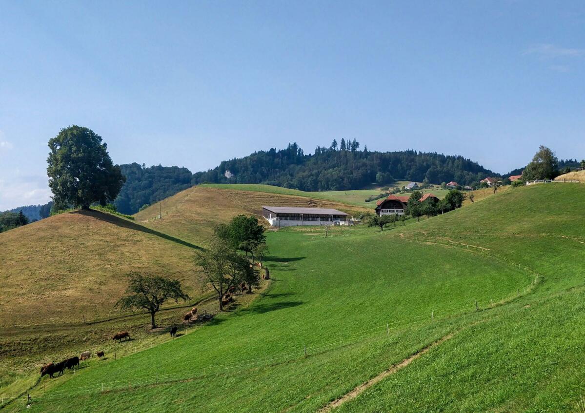 Les dimensions, la conception architecturale, l’adaptation à la topographie et le choix des matériaux sont déterminants pour intégrer durablement les bâ...