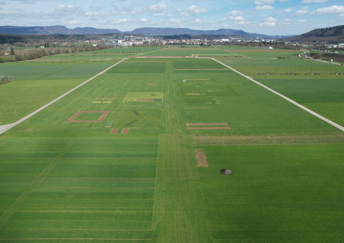 Schauen, wie es die anderen machen