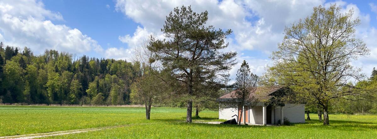En zone de protection des eaux souterraines, la fumure et les traitements sont interdits. L’indemnisation ne concerne pas que le terrain sur lequel une...
