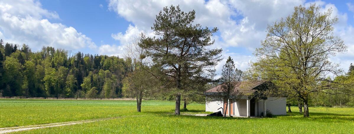 In der Grundwasserschutzzone ist Düngen und Spritzen tabu. Entschädigt wird nicht nur das Land, auf dem ein Grundwasserpumpwerk steht, sondern auch die...