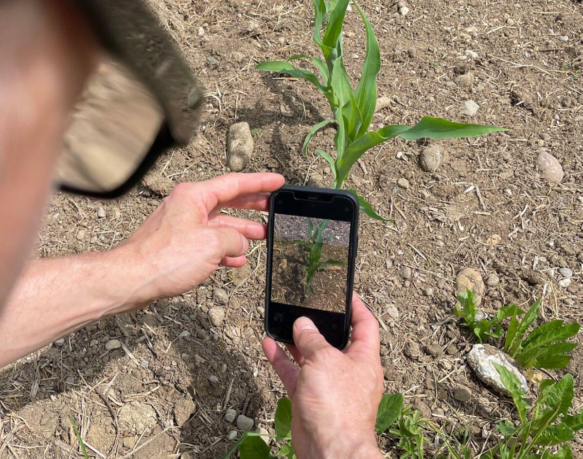 Sur les réseaux sociaux, les photos doivent susciter des émotions chez l’utilisateur·trice, de sorte qu’il s’attarde et lise la légende.
