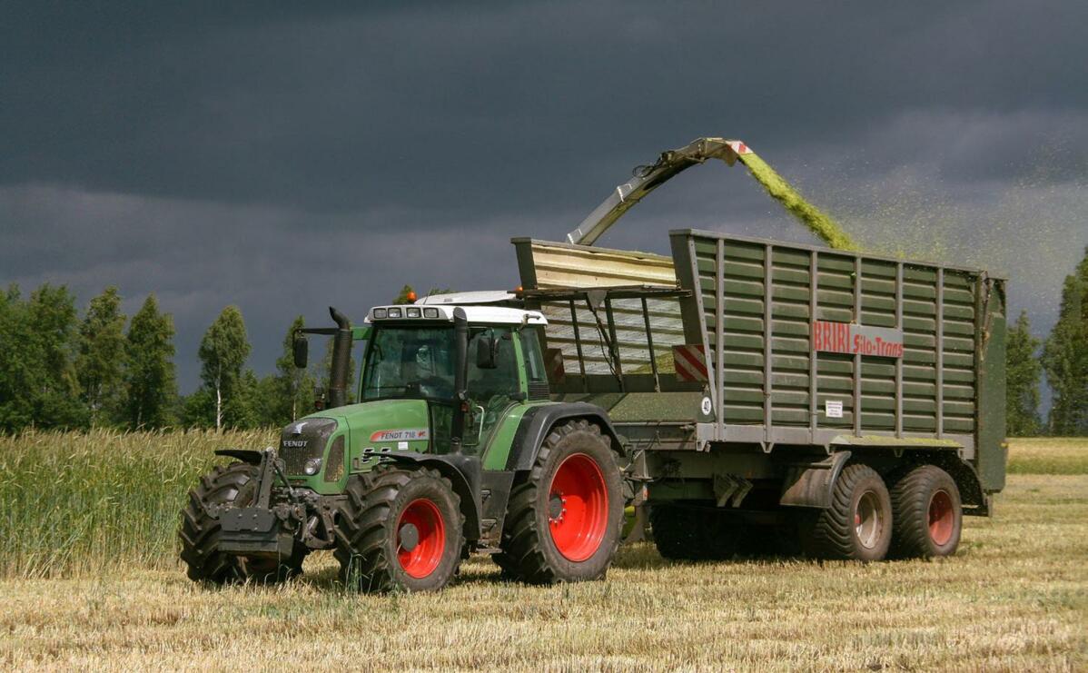 Ganzpflanzensilage wird ungefähr zwei bis drei Wochen vor der eigentlichen Druschreife des Getreides geerntet. 