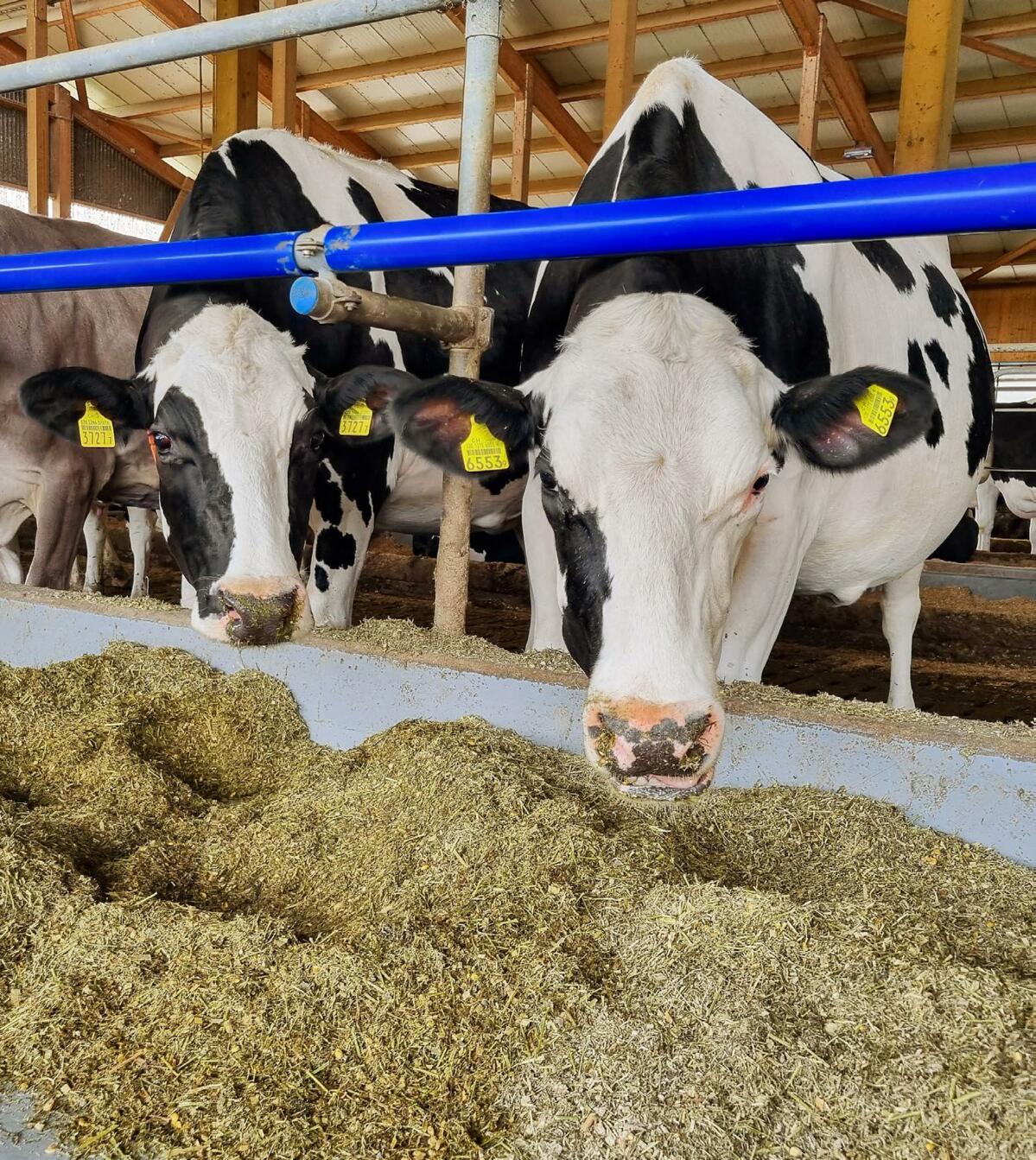 Planifier des temps de repos, un élément décisif