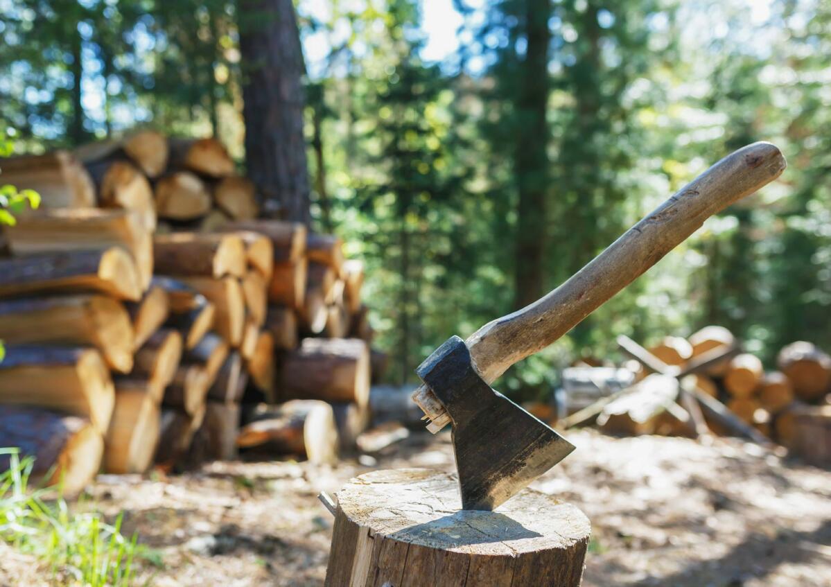 Le souhait de garder un bout de forêt pour occuper sa retraite est compréhensible. Cependant, après la remise du domaine, il est possible de louer la pa...