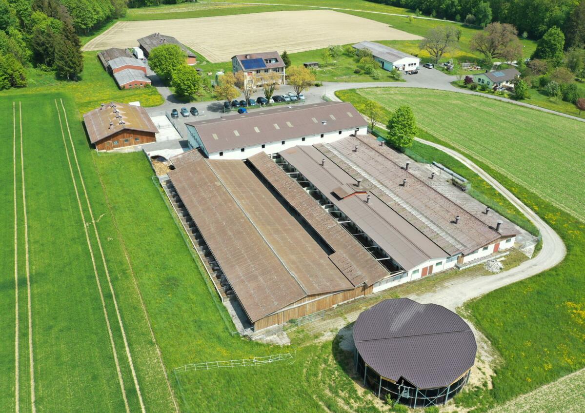 Der Schweinestall auf UFA-Bühl. Das Abdecken von offenen Güllebehältern ist eine von vielen Massnahmen zur Reduktion von Ammoniakemissionen.