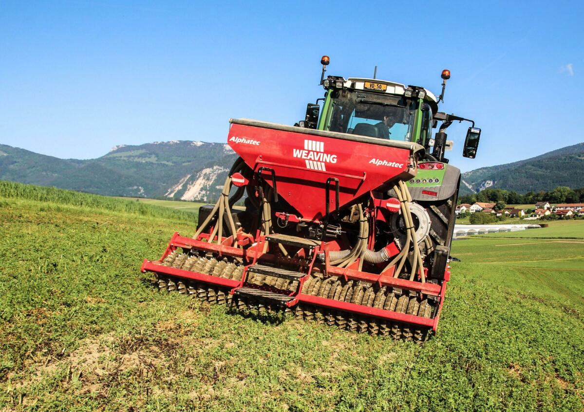 Die Übersaat ist der beste Weg,eine lückige Wiese zu regenerieren. 