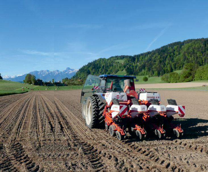 Les variétés de maïs ultra-précoces devraient être semées avant le 20 juin. En effet, l’évolution de la météo à partir de début juillet décidera s’il y...