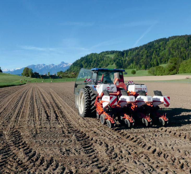 Ultrafrüher Mais sollte bis zum 20. Juni gesät werden, denn ab Anfang Juli entscheidet der Wetterverlauf, ob noch Kolben angesetzt werden. 
