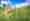 combined_7416106_0_7416107_0.jpg