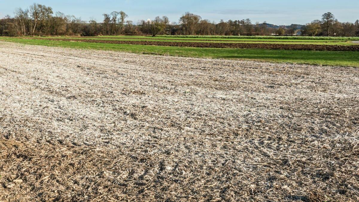 Je feiner ein Kalk ist, desto grösser ist dessen Oberfläche und umso schneller ist die Wirkung.