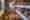 combined_7431058_0_7431059_0.jpg