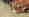 combined_7431066_0_7431067_0.jpg