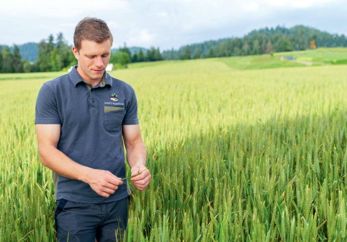 Der Emmentaler Patrik Schüpbach ist seit diesem Jahr offiziell Bio-Landwirt. 