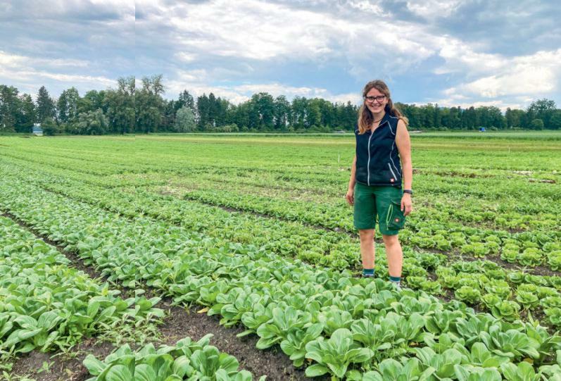 Gäbe es nicht so viel zu tun, könnte Solène Luder im Sommer dem Pak Choi beim Wachsen zusehen. Im mittleren Wachstumsstadium erfordern der Schädlings- u...