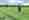 combined_7446247_0_7446248_0.jpg