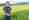 combined_7446272_0_7446273_0.jpg