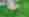 combined_7446326_0_7446327_0.jpg