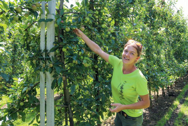 Um möglichst früh auf Veränderungen reagieren zu können, kontrolliert die angehende Obstfachfrau Sandra Deringer regelmässig, was im Obstgarten alles kr...