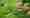 combined_7551523_0_7551524_0.jpg