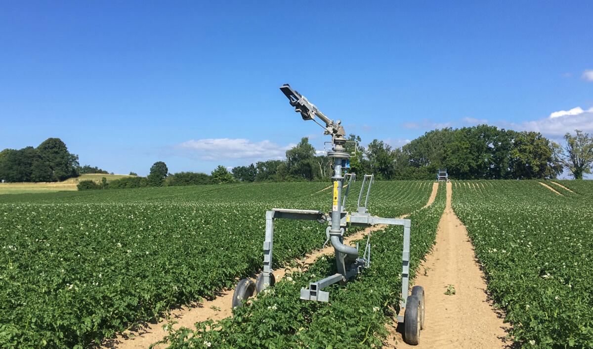 Des données fiables permettent d’adapter l’irrigation aux besoins : les pommes de terre poussent mieux lorsque l’humidité du sol est constante et se sit...