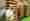 combined_7551625_0_7551626_0.jpg