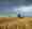 combined_7551645_0_7551646_0.jpg